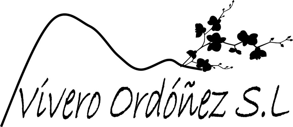 Vivero Ordóñez